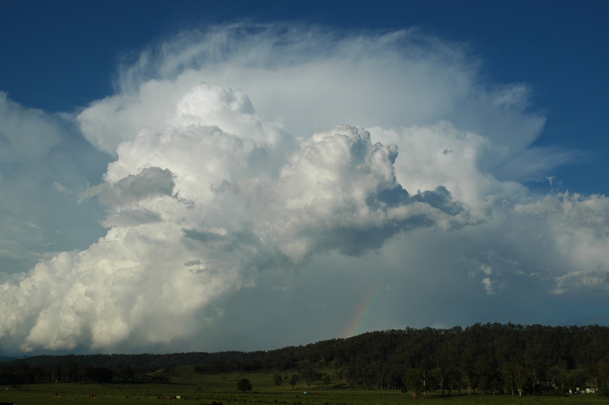 thunderstorm cumulonimbus_incus : Kyogle, NSW   25 October 2005