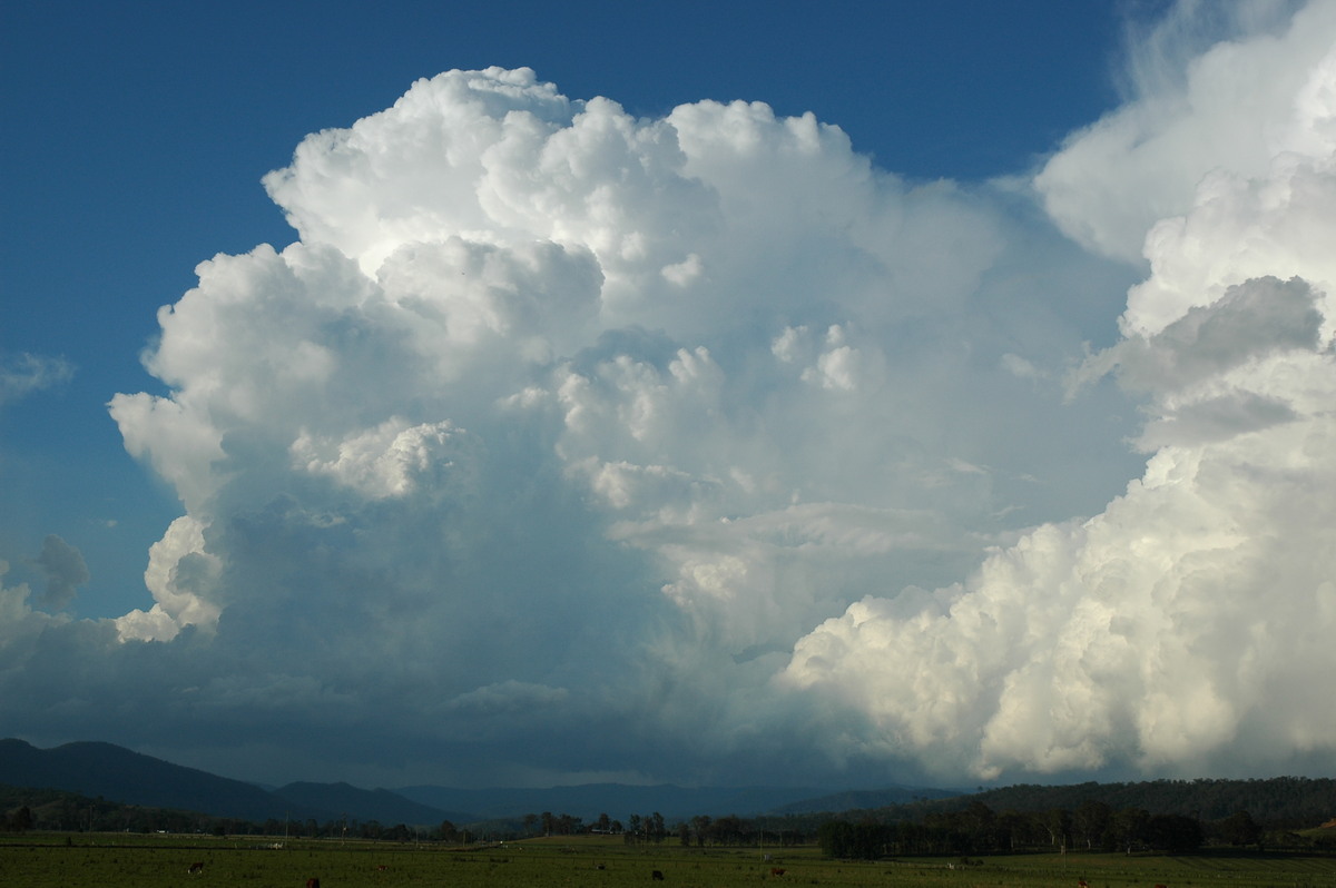 updraft thunderstorm_updrafts : Kyogle, NSW   25 October 2005