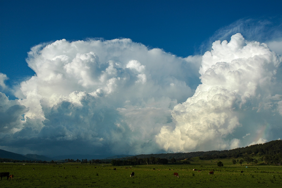 updraft thunderstorm_updrafts : Kyogle, NSW   25 October 2005