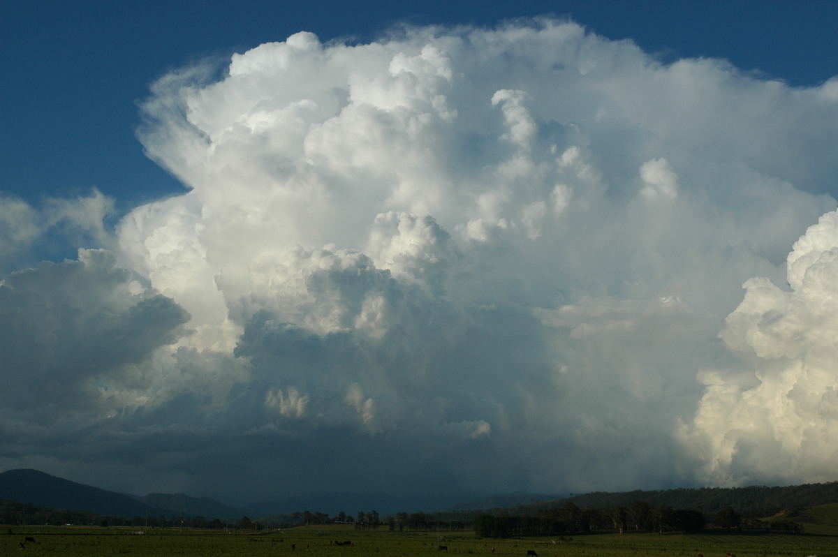 thunderstorm cumulonimbus_incus : Kyogle, NSW   25 October 2005