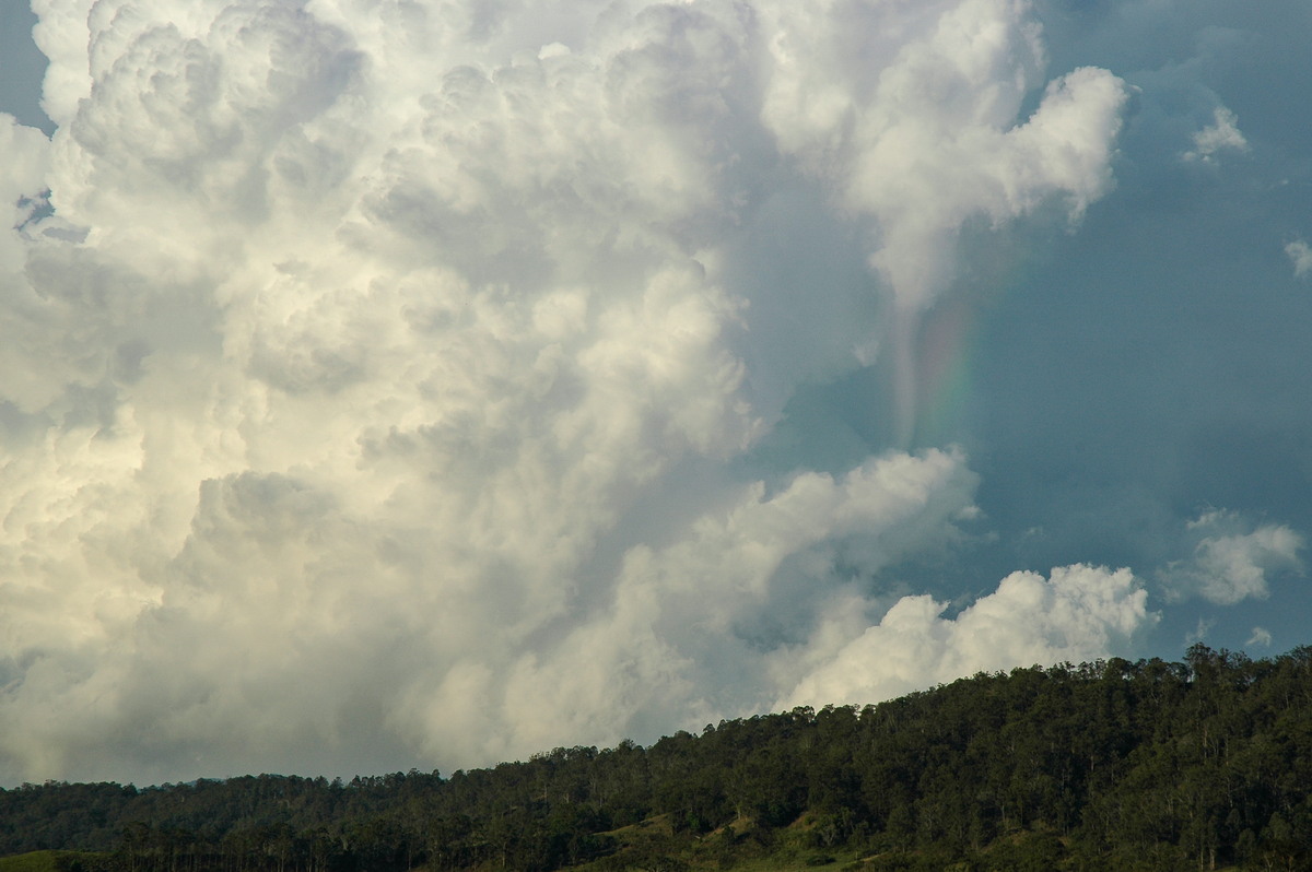 updraft thunderstorm_updrafts : Kyogle, NSW   25 October 2005