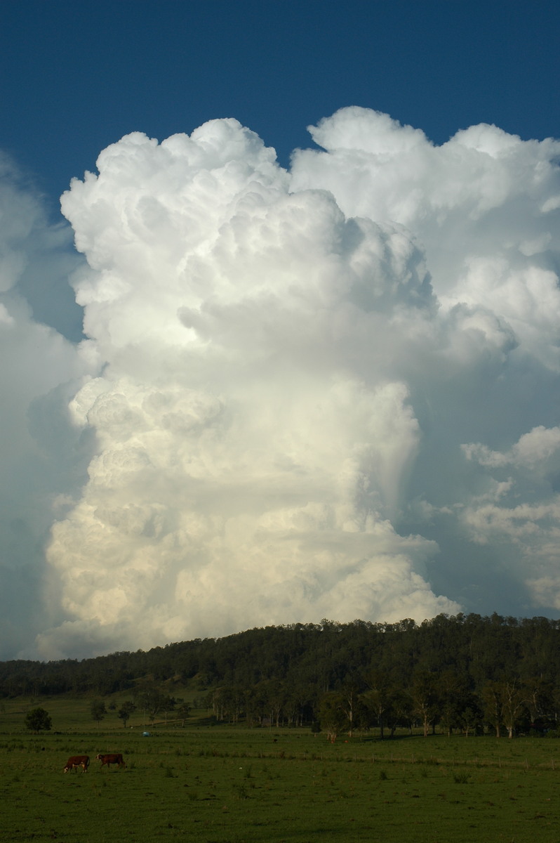 updraft thunderstorm_updrafts : Kyogle, NSW   25 October 2005