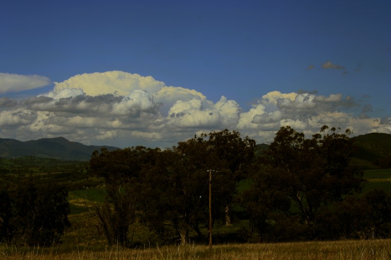 thunderstorm cumulonimbus_incus : N of Willow Tree, NSW   27 October 2005