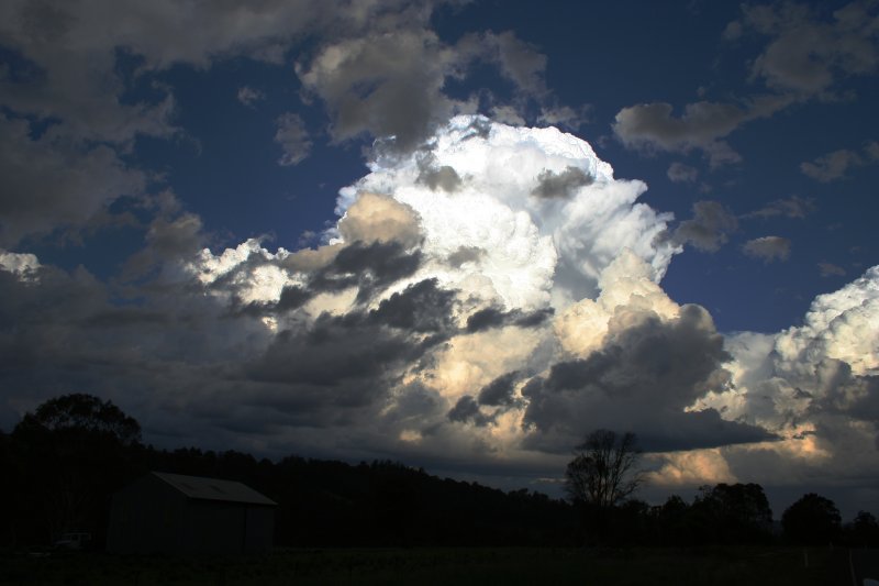 thunderstorm cumulonimbus_calvus : near Topdale, NSW   27 October 2005