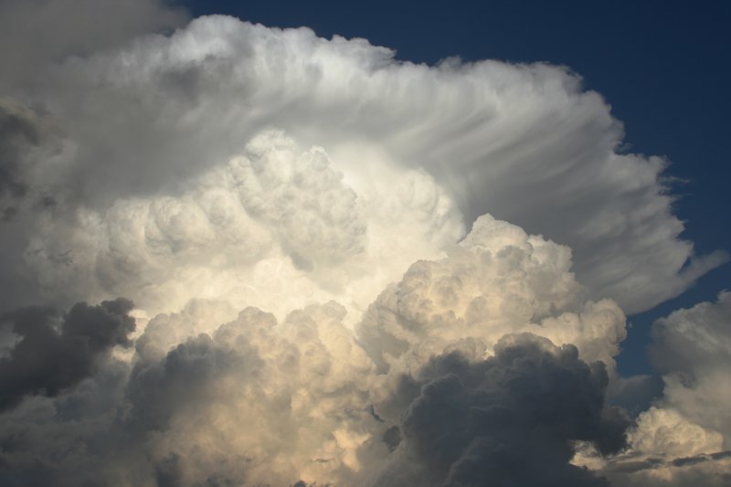 updraft thunderstorm_updrafts : near Nowendoc, NSW   27 October 2005