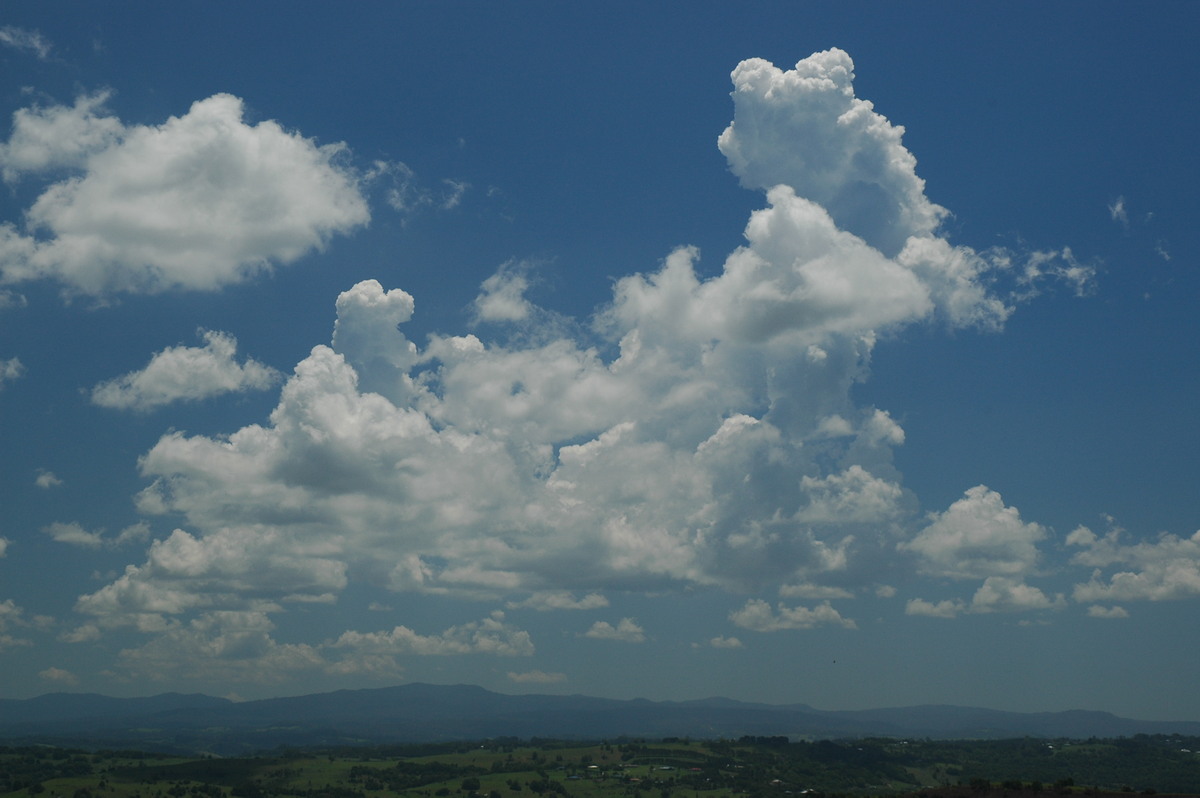 cumulus congestus : McLeans Ridges, NSW   27 October 2005