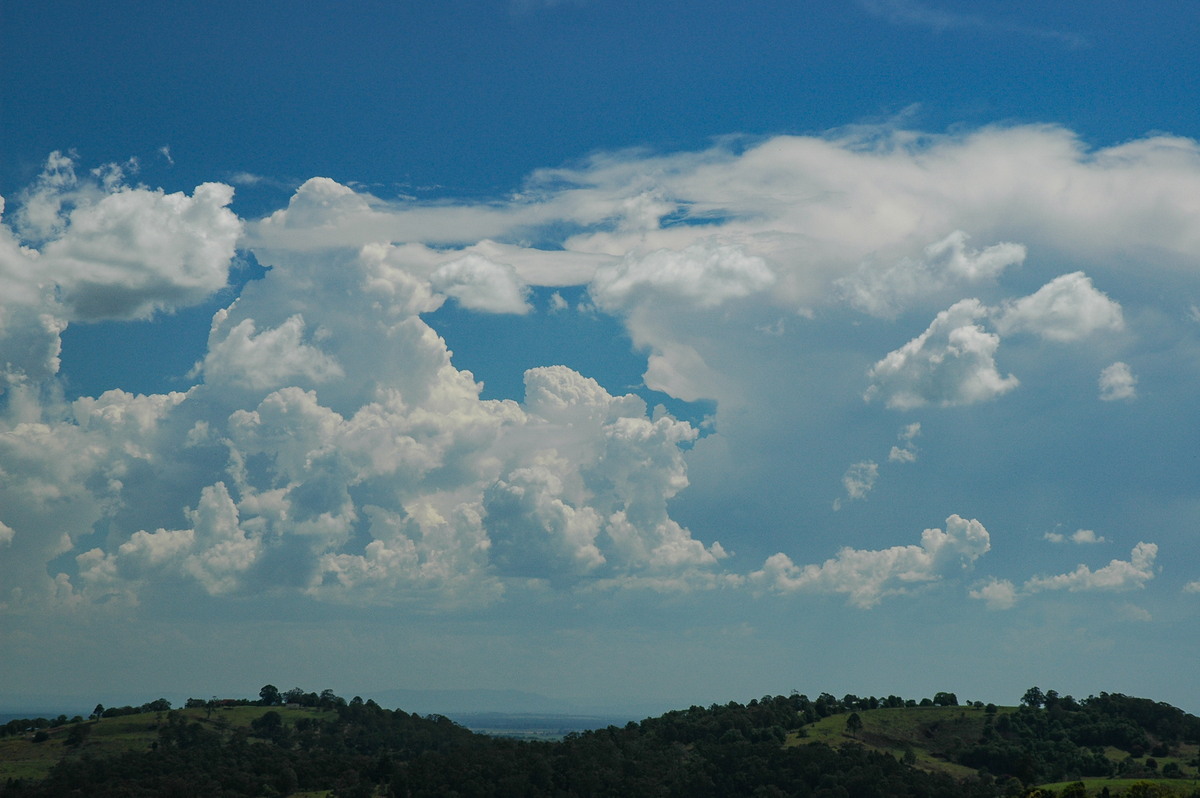 thunderstorm cumulonimbus_incus : Tregeagle, NSW   27 October 2005