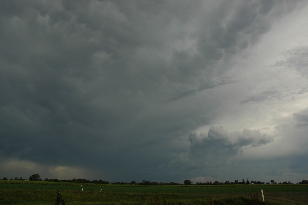 mammatus mammatus_cloud : near Coraki, NSW   27 October 2005