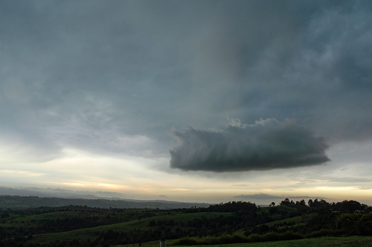 cumulus mediocris : McLeans Ridges, NSW   27 October 2005