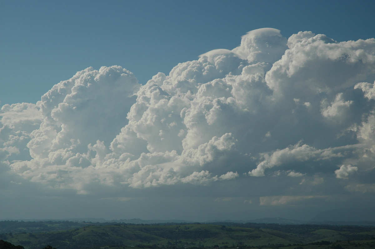 pileus pileus_cap_cloud : McLeans Ridges, NSW   28 October 2005
