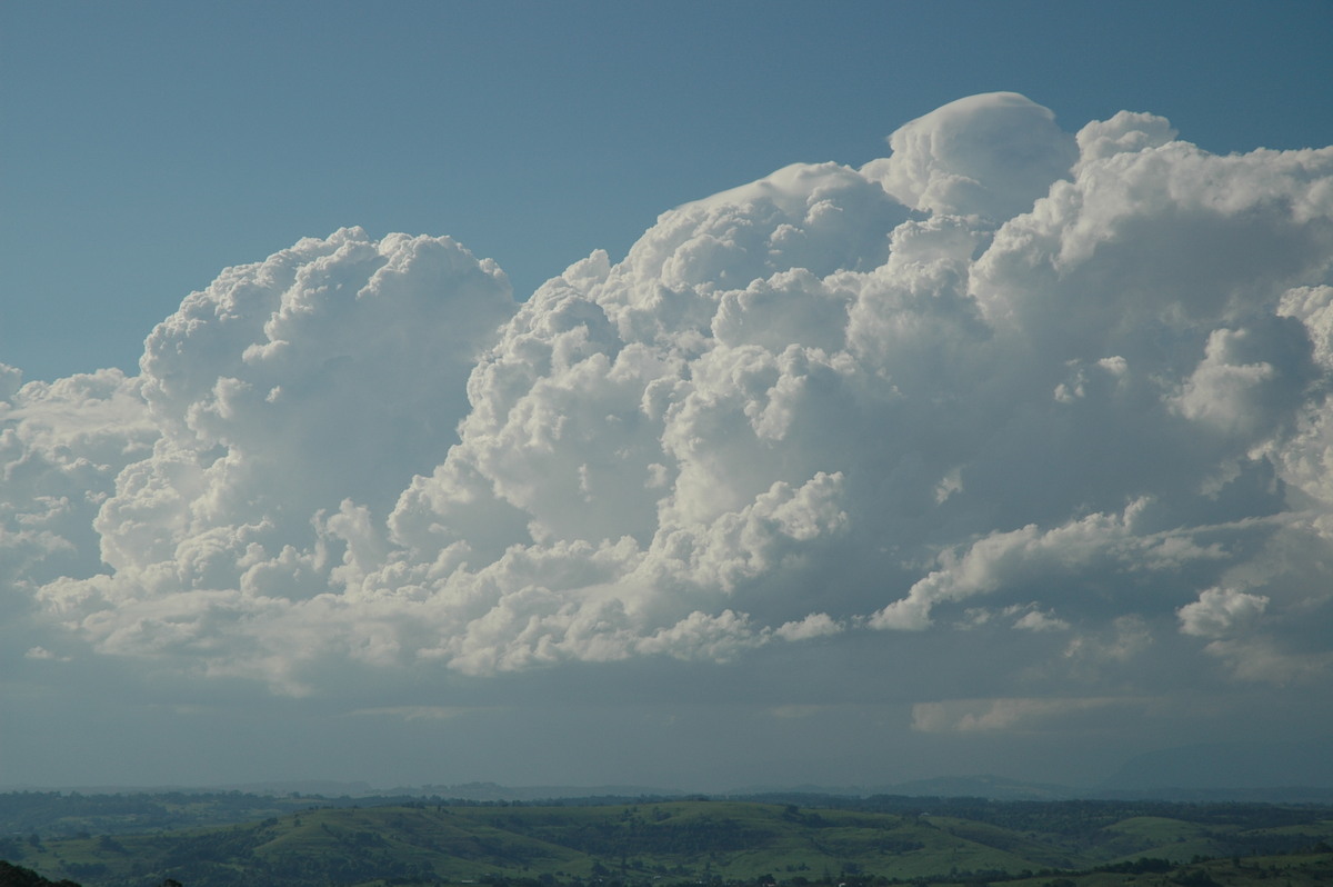 pileus pileus_cap_cloud : McLeans Ridges, NSW   28 October 2005