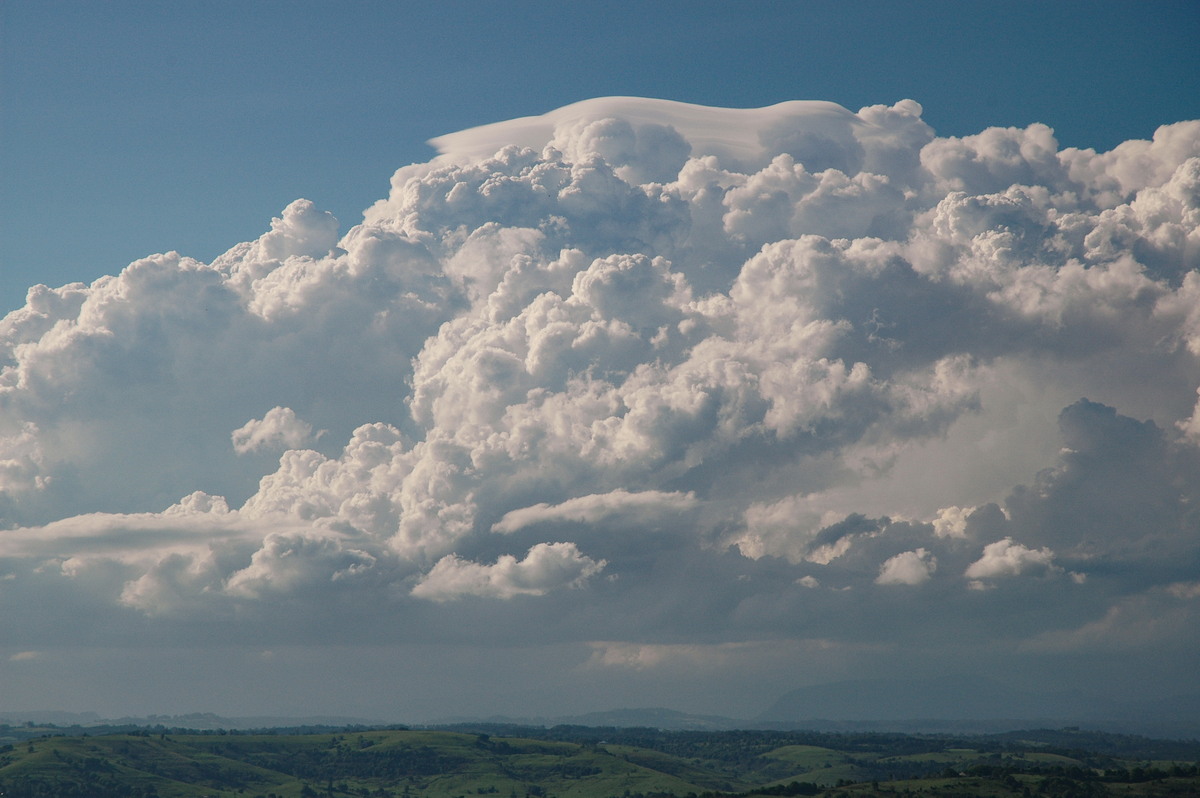 thunderstorm cumulonimbus_calvus : McLeans Ridges, NSW   28 October 2005