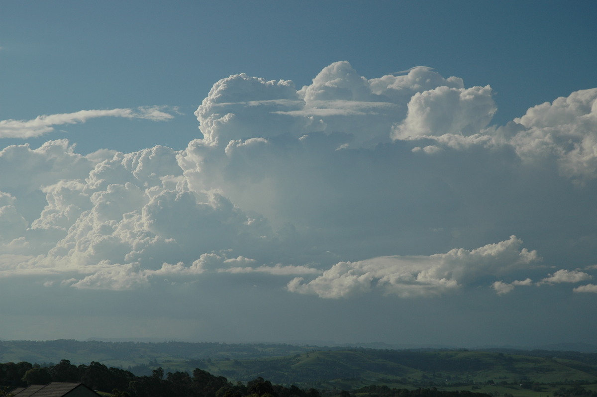 thunderstorm cumulonimbus_calvus : McLeans Ridges, NSW   28 October 2005