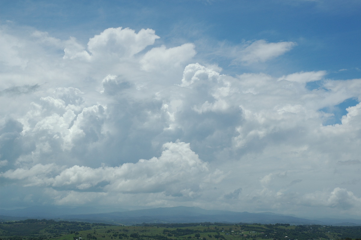 cumulus congestus : McLeans Ridges, NSW   5 November 2005