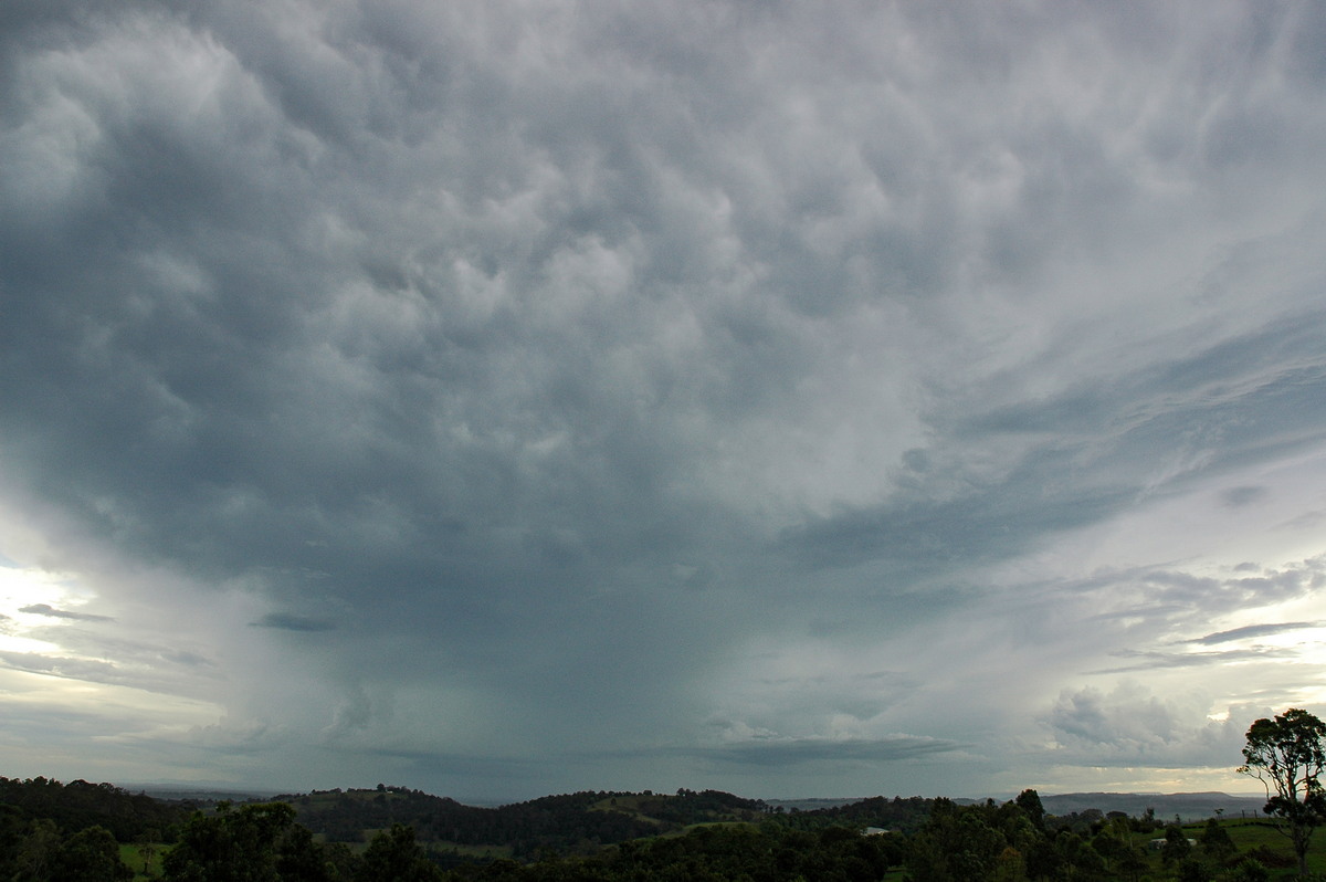 mammatus mammatus_cloud : Tregeagle, NSW   5 November 2005