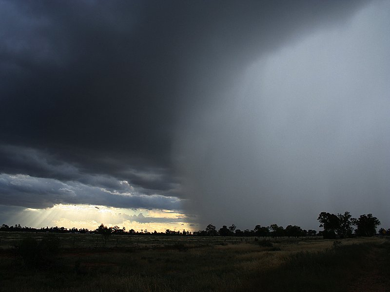 favourites jimmy_deguara : Nyngan, NSW   7 November 2005