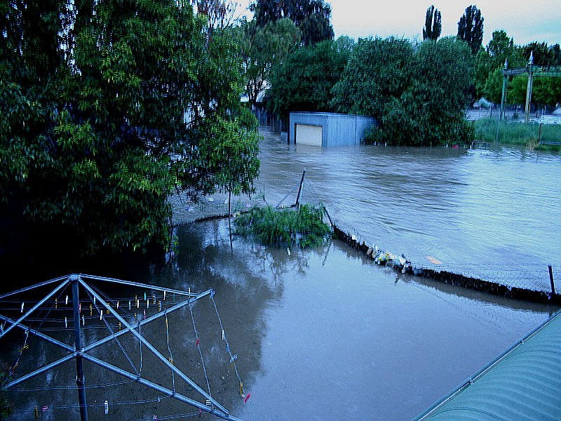 flashflooding flood_pictures : Molong, NSW   8 November 2005