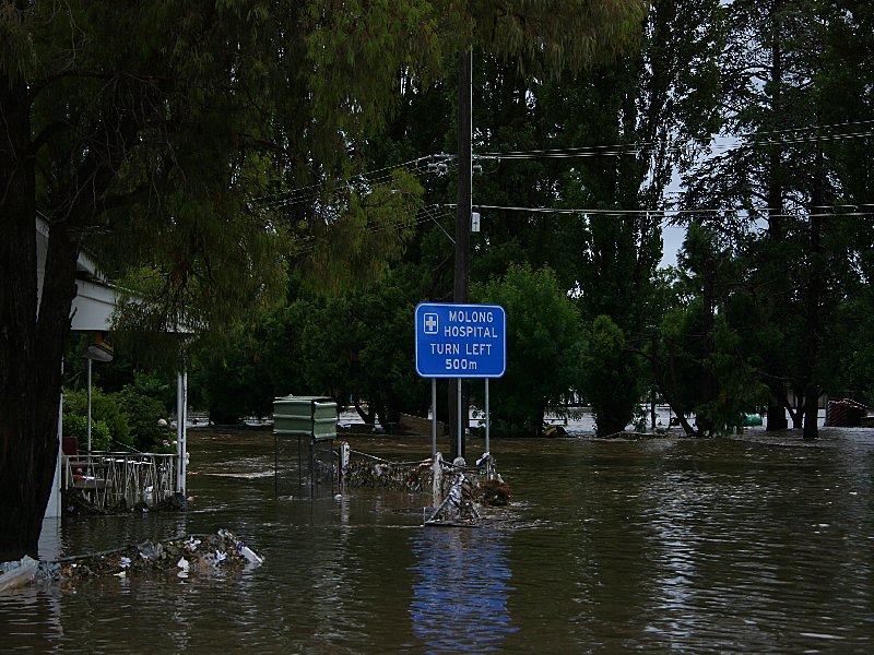 favourites jimmy_deguara : Molong, NSW   8 November 2005