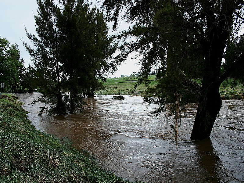 favourites jimmy_deguara : Molong, NSW   8 November 2005