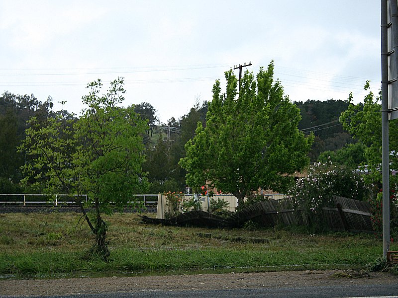 flashflooding flood_pictures : Molong, NSW   8 November 2005