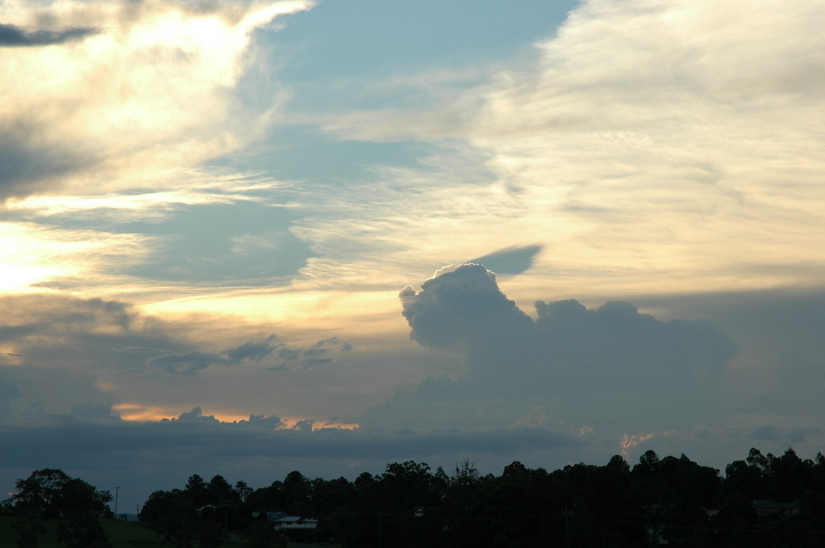 cumulus congestus : Casino, NSW   9 November 2005