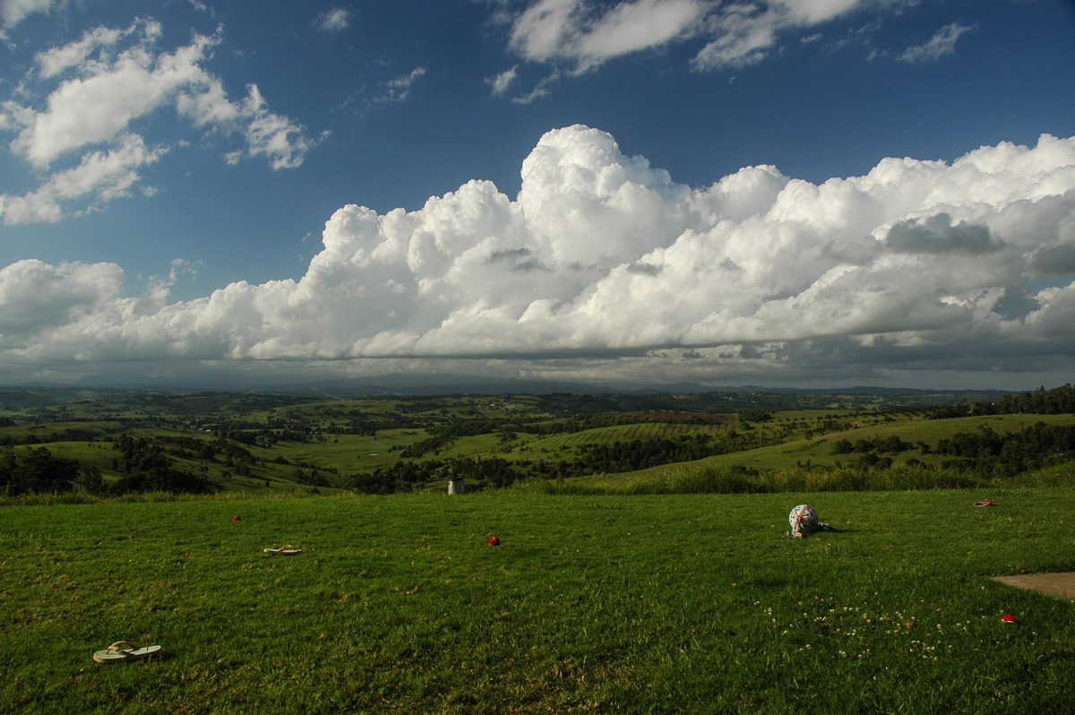 cumulus congestus : McLeans Ridges, NSW   13 November 2005