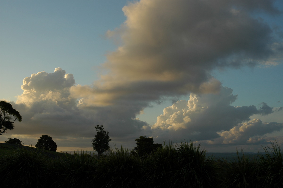 cumulus mediocris : McLeans Ridges, NSW   13 November 2005