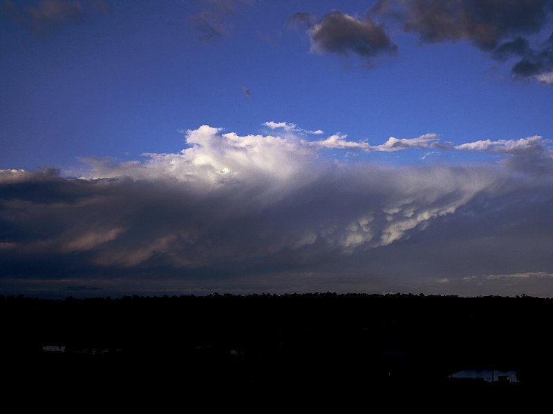 mammatus mammatus_cloud : Schofields, NSW   15 November 2005