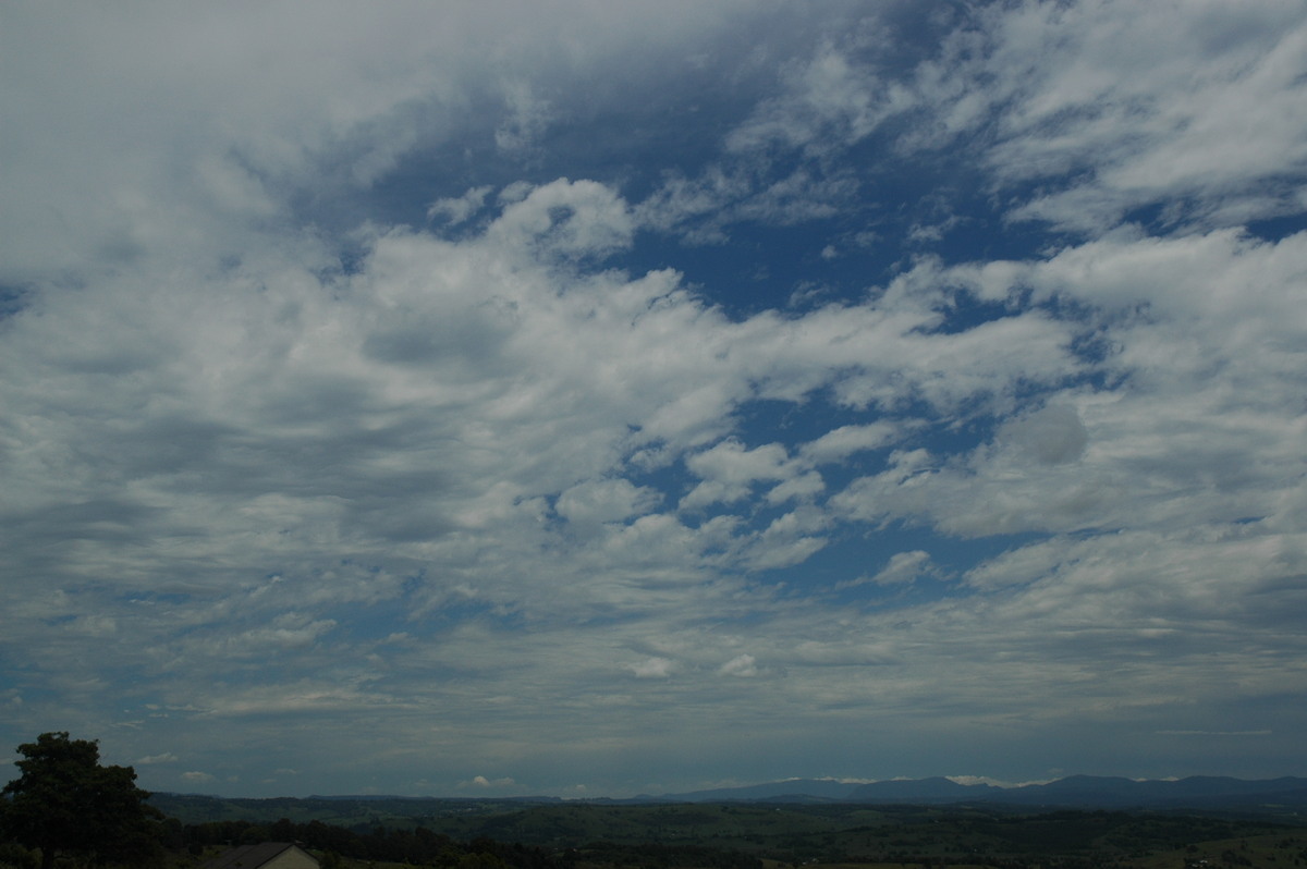 altocumulus castellanus : McLeans Ridges, NSW   15 November 2005