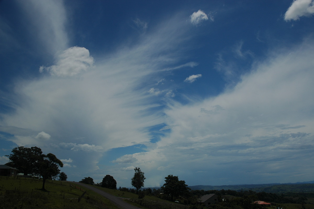 anvil thunderstorm_anvils : McLeans Ridges, NSW   15 November 2005