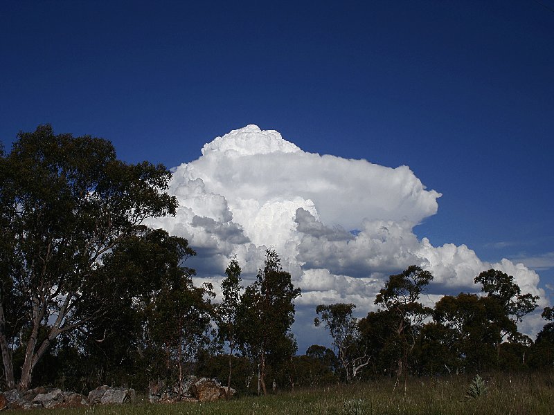 thunderstorm cumulonimbus_incus : Walcha, NSW   20 November 2005