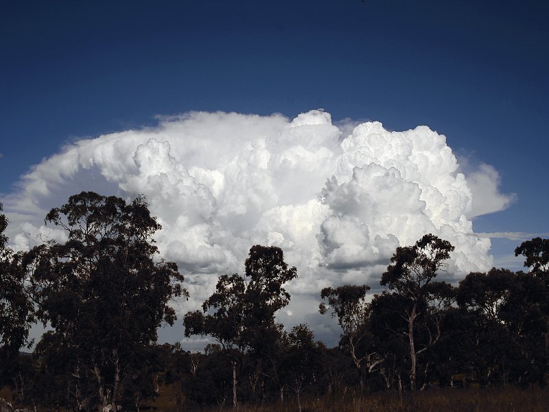 thunderstorm cumulonimbus_incus : Walcha, NSW   20 November 2005