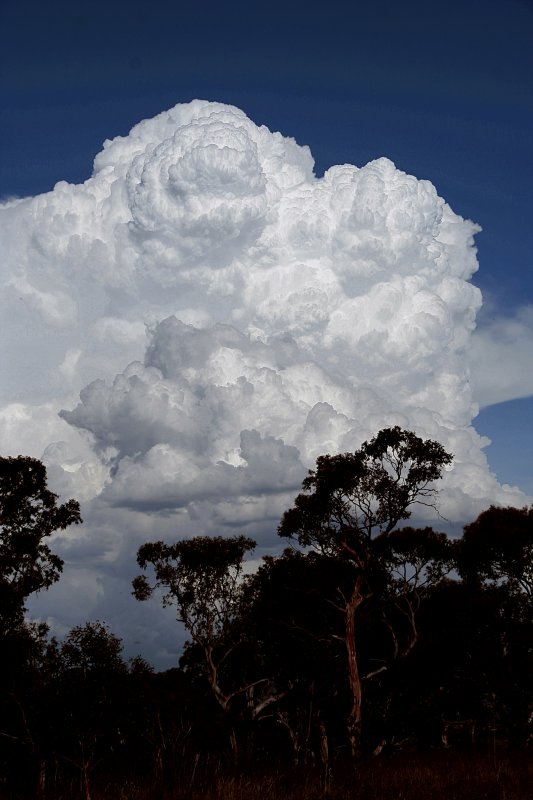 updraft thunderstorm_updrafts : Walcha, NSW   20 November 2005