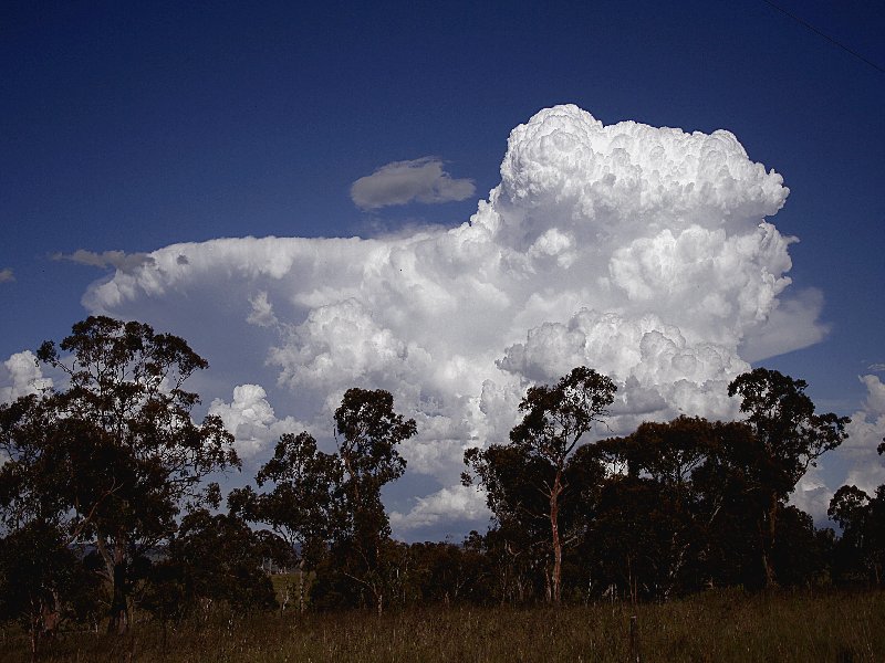 thunderstorm cumulonimbus_incus : Walcha, NSW   20 November 2005