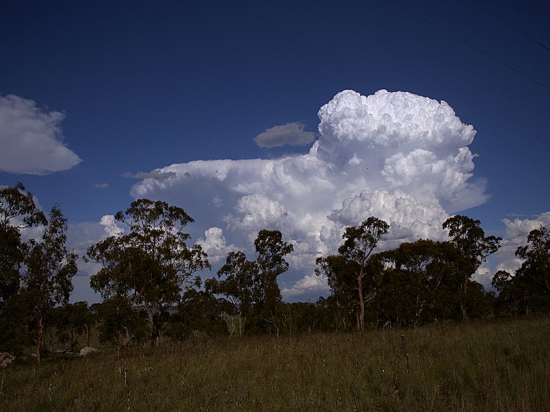 favourites jimmy_deguara : Walcha, NSW   20 November 2005