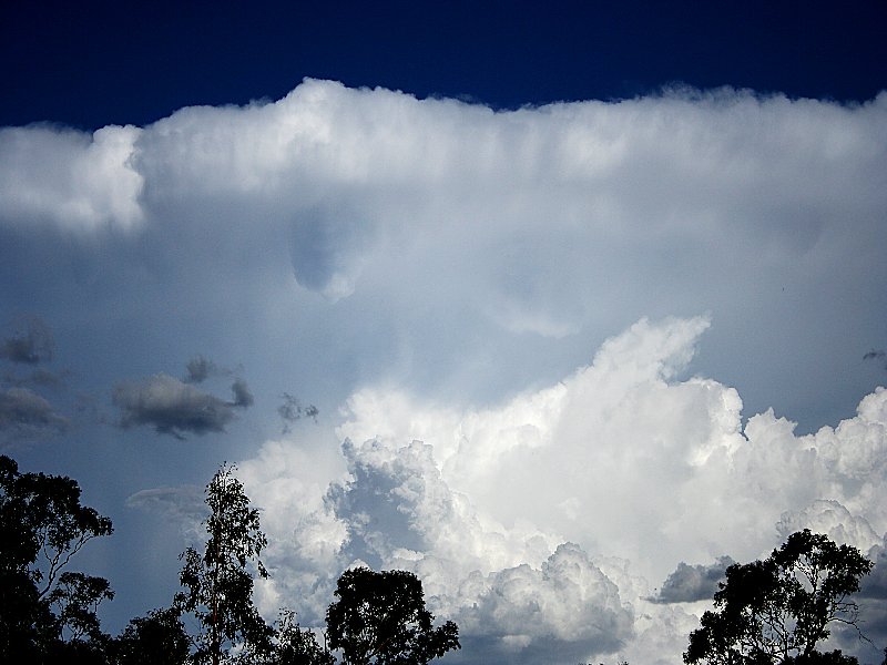 anvil thunderstorm_anvils : Walcha, NSW   20 November 2005