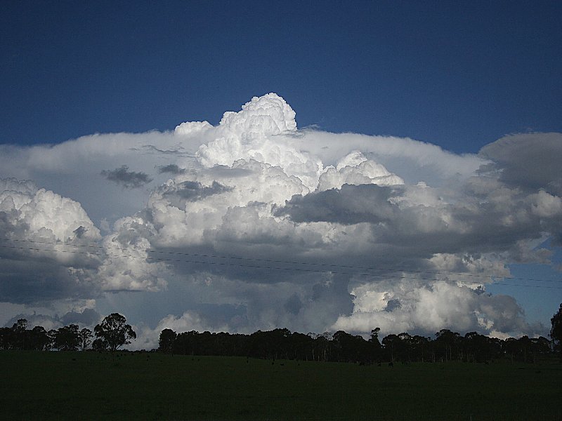 thunderstorm cumulonimbus_calvus : Walcha, NSW   20 November 2005