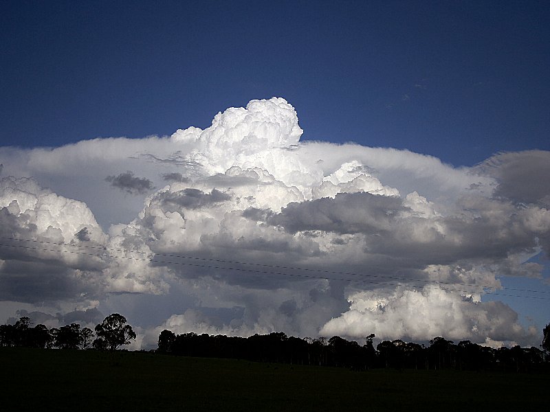 thunderstorm cumulonimbus_calvus : Walcha, NSW   20 November 2005