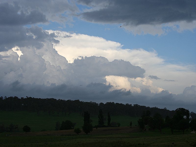 stratus stratus_cloud : S of Walcha, NSW   20 November 2005