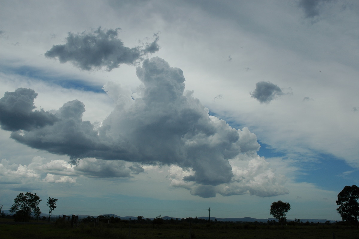 cumulus congestus : W of Casino, NSW   20 November 2005