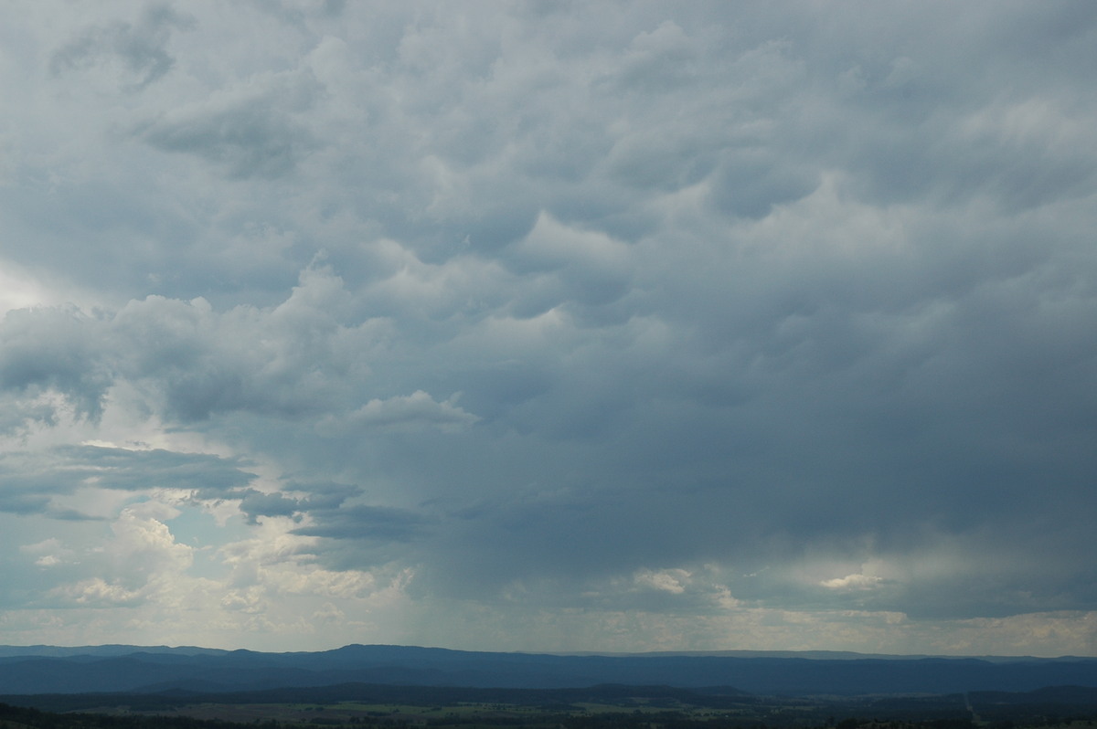 mammatus mammatus_cloud : Mallanganee NSW   20 November 2005