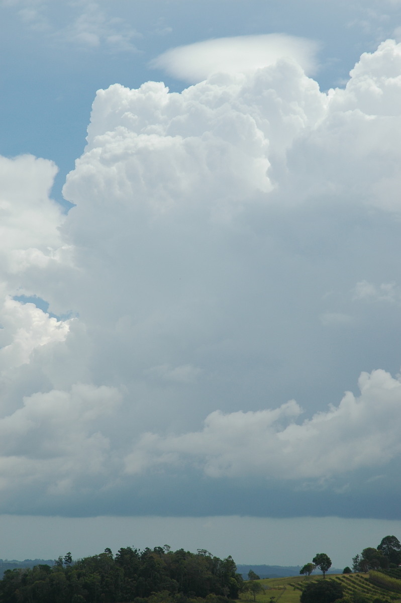 pileus pileus_cap_cloud : McLeans Ridges, NSW   23 November 2005