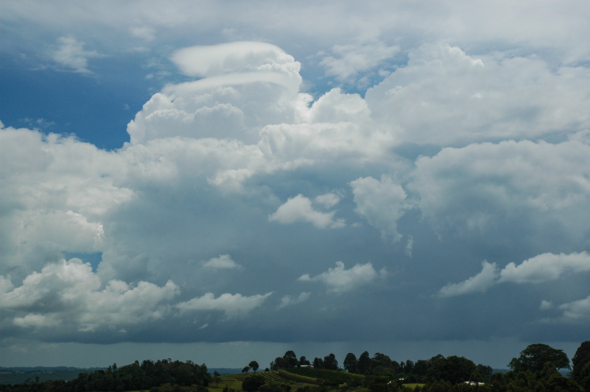 pileus pileus_cap_cloud : McLeans Ridges, NSW   23 November 2005