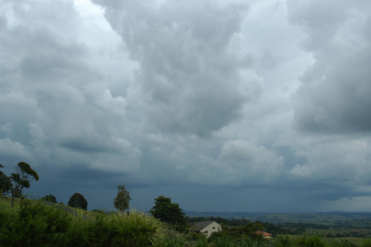 cumulonimbus thunderstorm_base : McLeans Ridges, NSW   23 November 2005