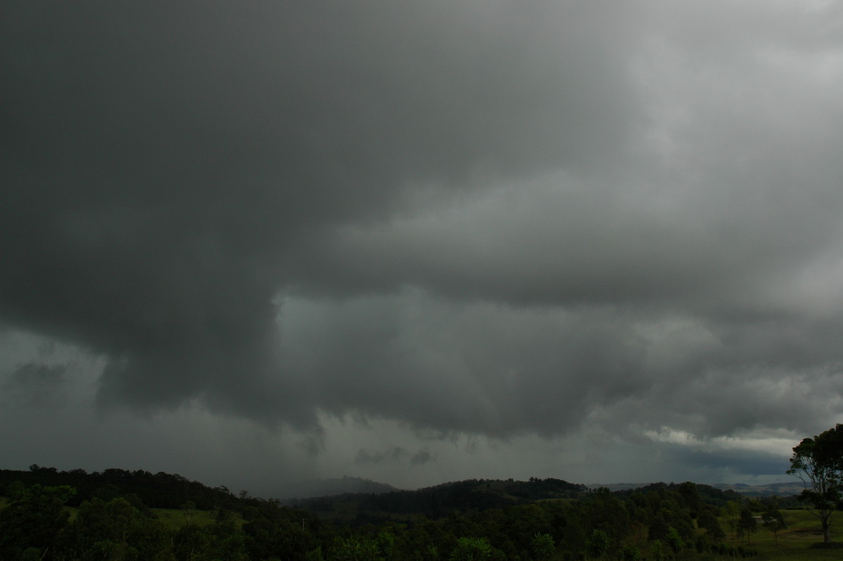 cumulonimbus thunderstorm_base : Tregeagle, NSW   23 November 2005