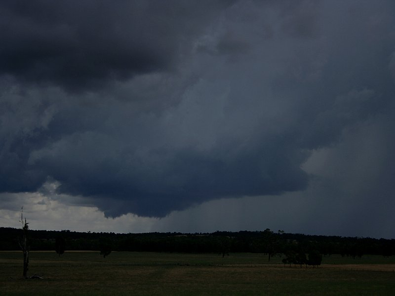 cumulonimbus supercell_thunderstorm : W of Mendoran, NSW   25 November 2005