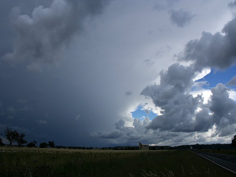 anvil thunderstorm_anvils : S of Coonabarabran, NSW   25 November 2005