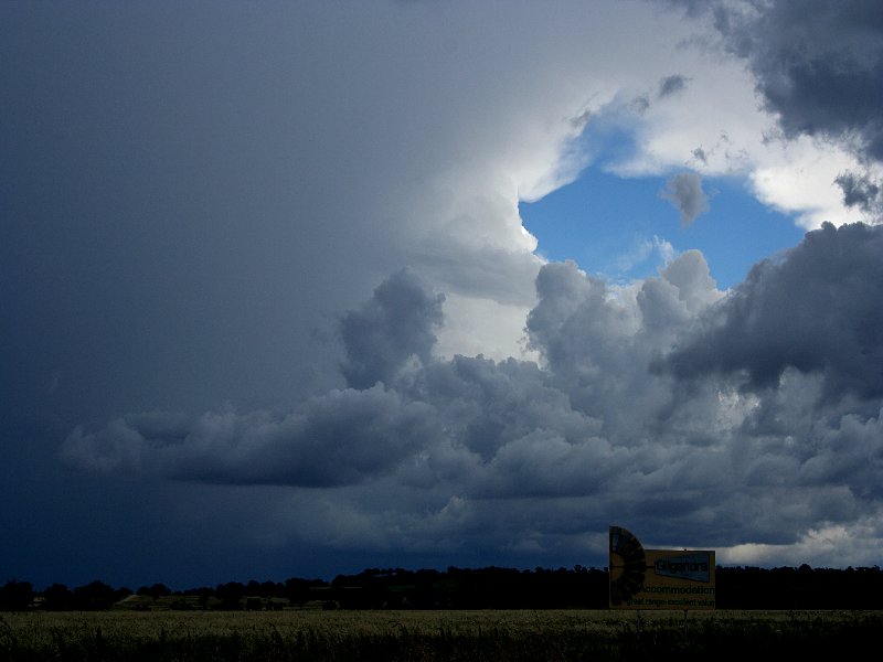 cumulonimbus thunderstorm_base : S of Coonabarabran, NSW   25 November 2005