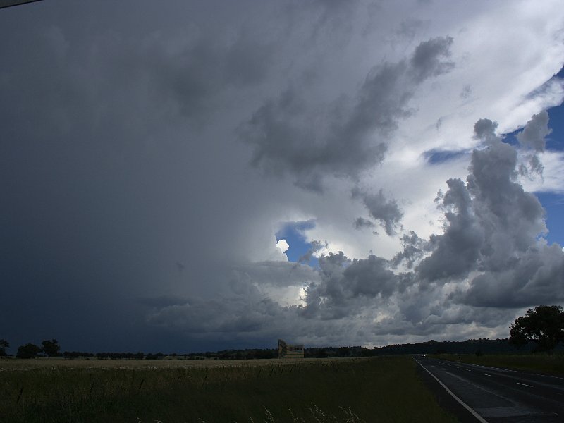 anvil thunderstorm_anvils : S of Coonabarabran, NSW   25 November 2005