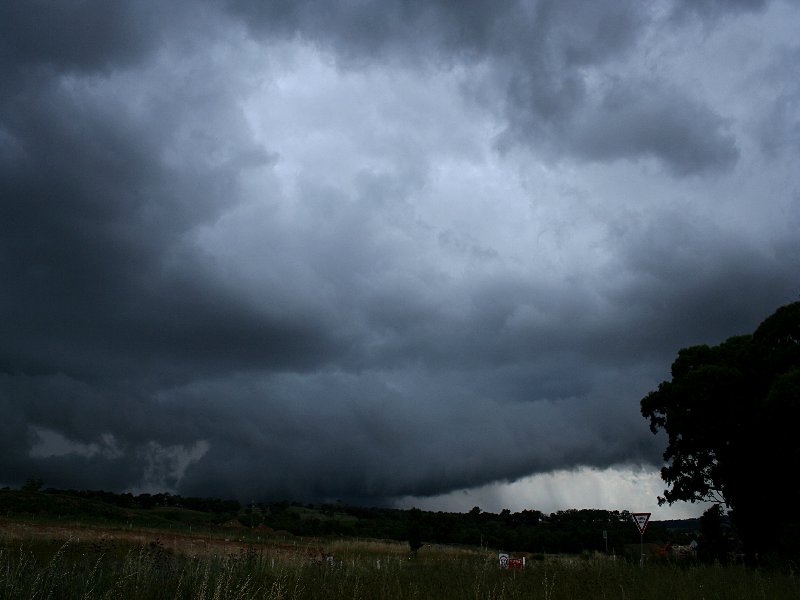 wallcloud thunderstorm_wall_cloud : S of Coonabarabran, NSW   25 November 2005